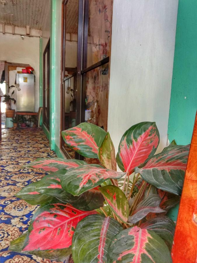 Abba Homestay General Luna  Exterior photo